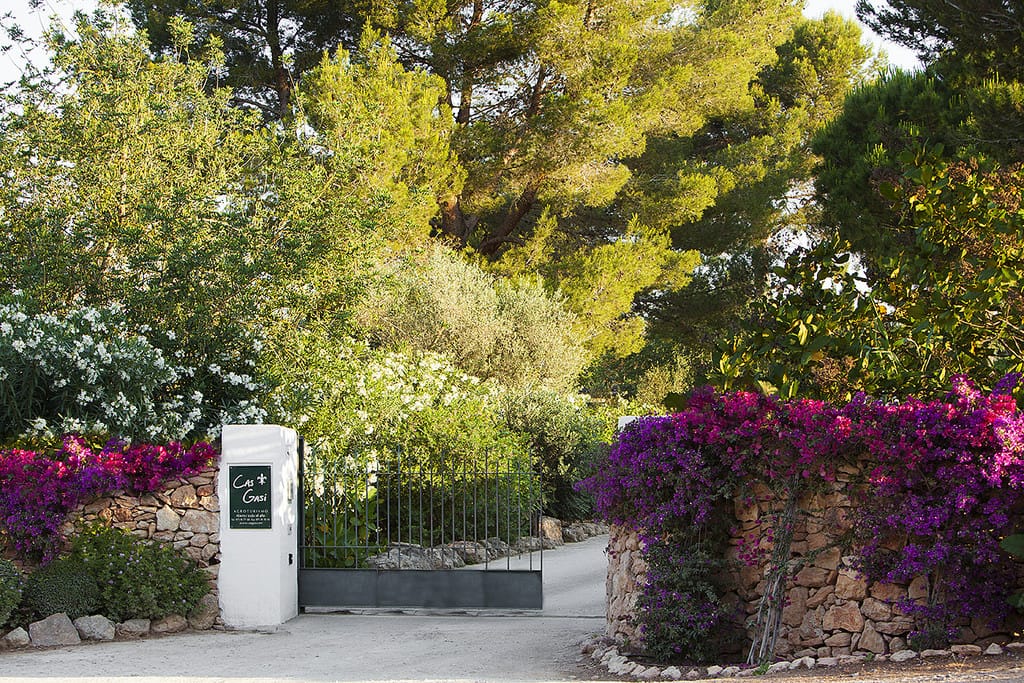Cas Gasi hotel ibiza entrance gate and gardens