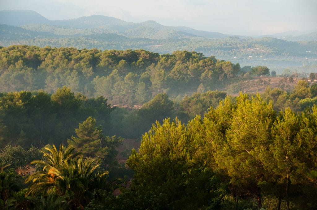view of ibiza hills and countryside