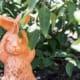 rabbit ceramic in garden